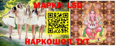 шишки Жуковский