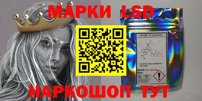 шишки Жуковский
