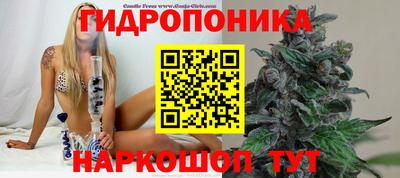 шишки Жуковский