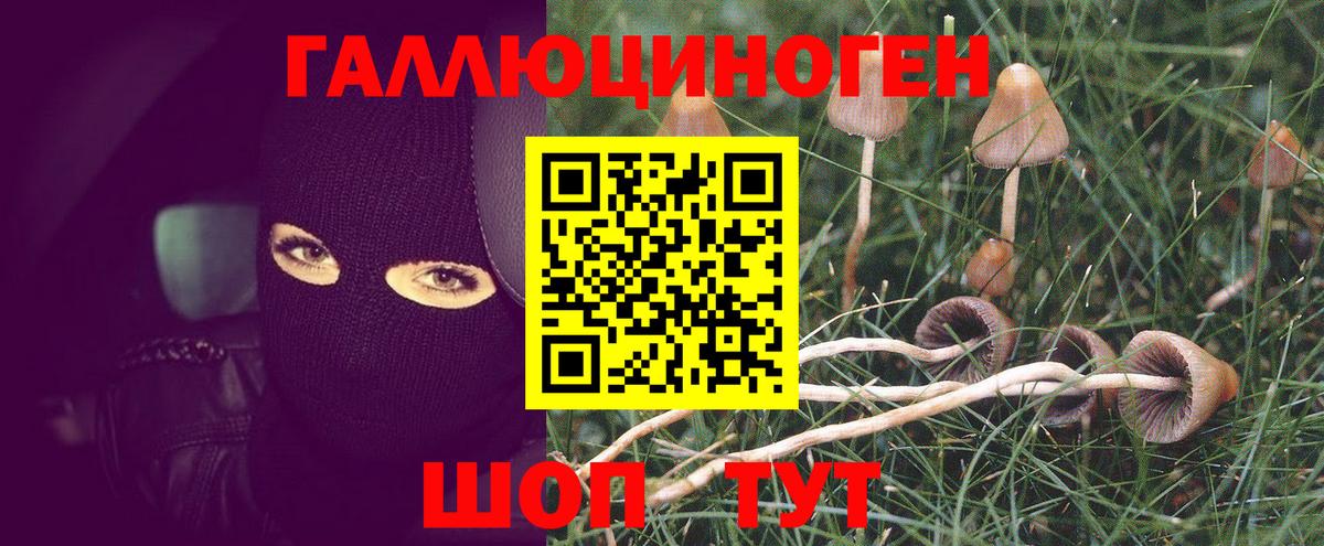 Клинцы  Вход с VPN  Канабис  COCAIN  LSD-25  Меф МЯУ МЯУ кристаллы  Гашиш 